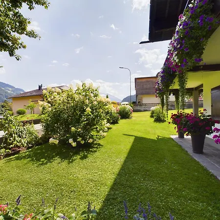 Peak View * ואנדאנס